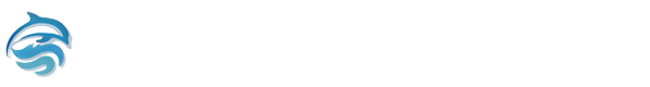 FLYING DOLPHIN FREIGHT LTD